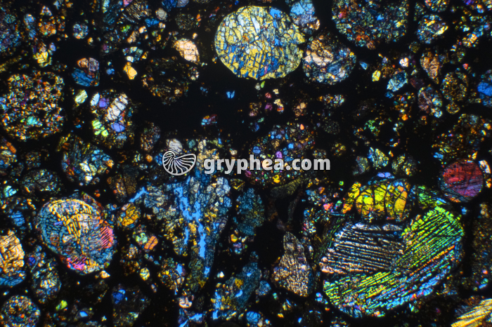 Météorite LPA x6 - gryphea.com